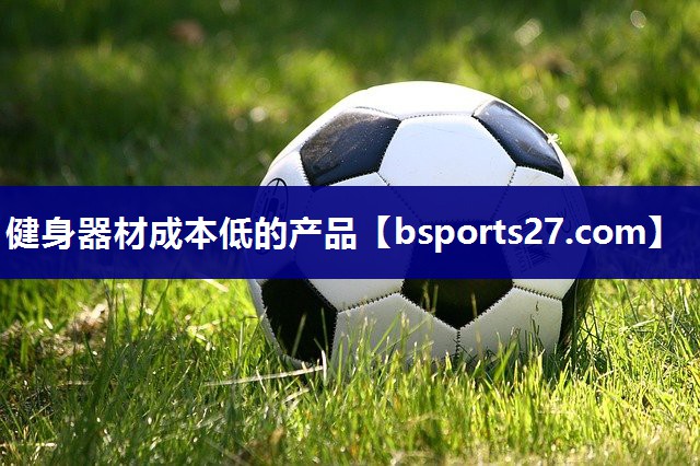 健身器材成本低的产品